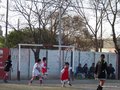 LVBF19F 118