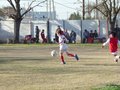 LVBF19F 113