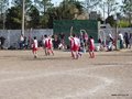 LVBF19F 017