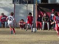 LVBF19F 095
