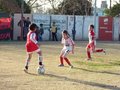 LVBF19F 102