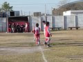LVBF19F 078