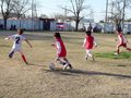 LVBF19F 101