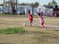 LVBF19F 086