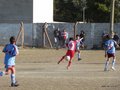 LVBF19F 041