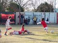 LVBF19F 107