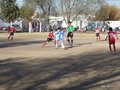LVBF19F 049