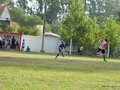 LVBF7F 113