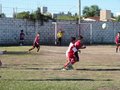LVBF8F 033