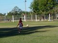 LVBF8F 087