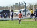 LVBF10FC 017