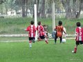 LVBF11FC 033
