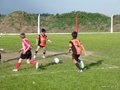 LVBF11FC 019