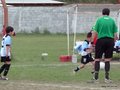 LVBF11FC 123