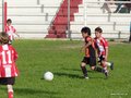 LVBF11FC 012
