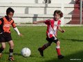 LVBF11FC 015