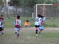 LVBF11FC 096