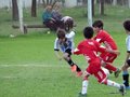 LVBF11FC 048