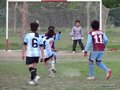 LVBF11FC 113