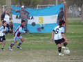 LVBF11FC 124