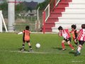 LVBF11FC 013