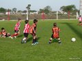LVBF11FC 031