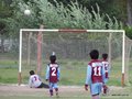 LVBF11FC 115