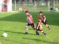 LVBF11FC 029