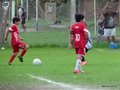 LVBF11FC 085