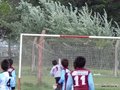 LVBF11FC 120