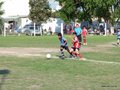 LBVF14FC 017