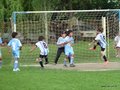 LBVF14FC 115