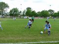 LBVF14FC 094