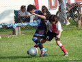 LBVF14FC 038