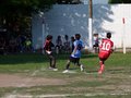 LBVF14FC 003