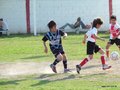 LBVF14FC 046