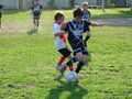 LBVF14FC 047