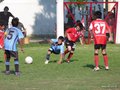 LBVF14FC 015