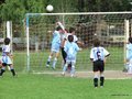 LBVF14FC 113