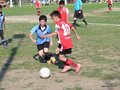LBVF14FC 009
