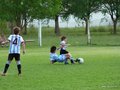 LBVF14FC 079