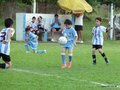 LBVF14FC 087