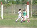 LVBF17FC 074