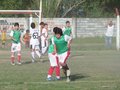 LVBF17FC 092