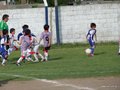 LVBF17FC 053