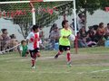 LVBF19FC 020