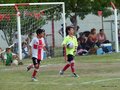 LVBF19FC 021