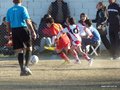 LVBF 066