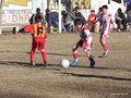 LVBF 077