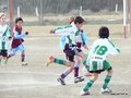 LVBF1FC 015